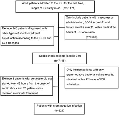 Association between corticosteroid use and 28-day mortality in septic shock patients with gram-negative bacterial infection: a retrospective study